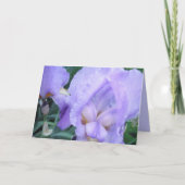Bloem - Iris Kaart (Voorkant)