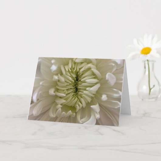 Bloem Kaart (Kleine Plant)