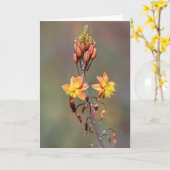 Bloem Kaart (Gele Bloem)