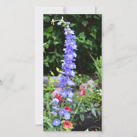 bloem kaart blanco (Voorkant)