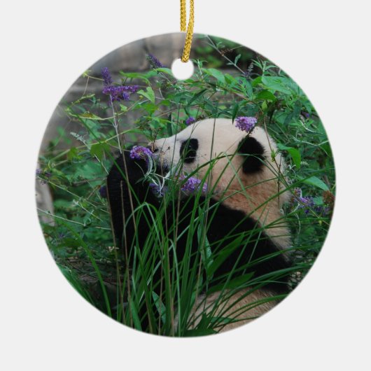 Bloem Kind Bao Bao Giant Panda Cub-versiering Keramisch Ornament (Voorkant)