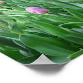 bloem, lente, mooi, achtergrond, tulp, poster (Hoek)