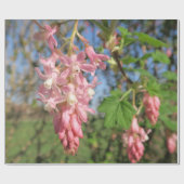bloem, lente, roze, zomer, natuur, bloem, cadeaupapier (Vlak)
