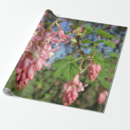 bloem, lente, roze, zomer, natuur, bloem, cadeaupapier