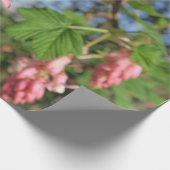 bloem, lente, roze, zomer, natuur, bloem, cadeaupapier (Hoek)