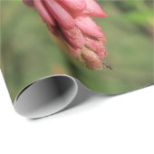 bloem, lente, roze, zomer, natuur, bloem, cadeaupapier (Rol Hoek)