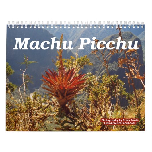 Bloem Machu Picchu Peru Kalender (Hoes)