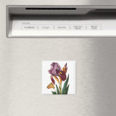 Bloem Magneet (Insitu (Vaatwasser))