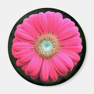 Bloem Magneet
