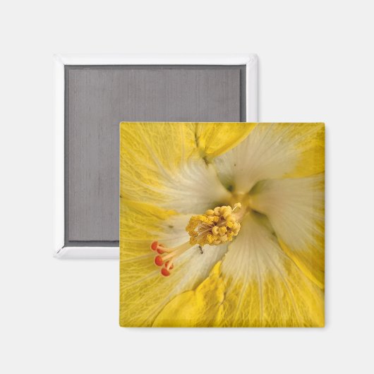 Bloem magneet (Voorkant / Achterkant)