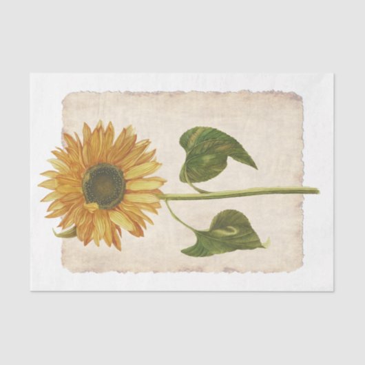 Bloem met 34 gele zonnebloempitten, papier voor he (Voorkant)