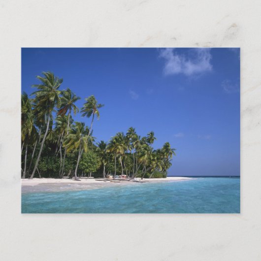Bloem met palmbomen, Maldiven Briefkaart (Voorkant)