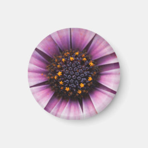 Bloem middenmagneet magneet