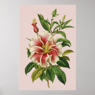 Bloem Modern Kunst II Poster