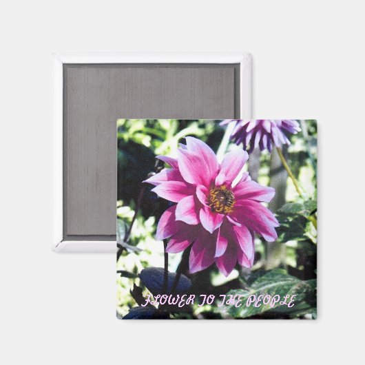 Bloem naar het volk magneet (Voorkant / Achterkant)