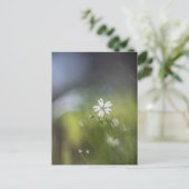 Bloem Natuur Foto Briefkaart (Staand voorkant)