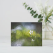 Bloem Natuur Foto Briefkaart (Staand voorkant)
