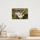 Bloem - Nieuwe creatie Poster (Keuken)