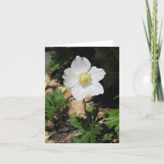 Bloem Notecards Kaart