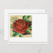 Bloem nr.1 briefkaart (Voorkant / Achterkant)