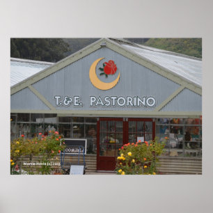 Bloem Nursery Poster