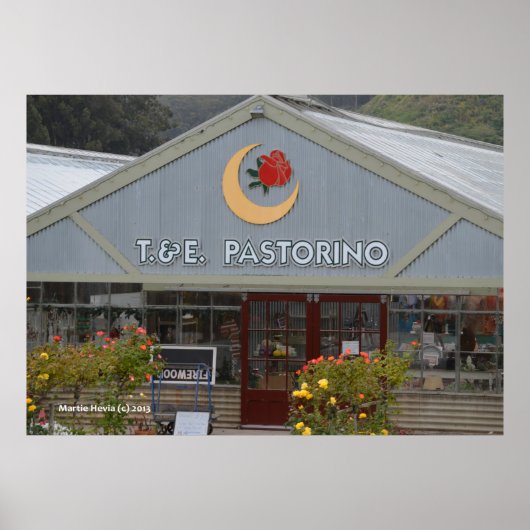 Bloem Nursery Poster (Voorkant)