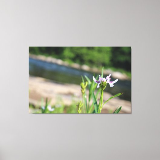 Bloem ondersteund door River Canvas Print (Voorkant)