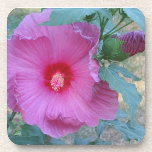 Bloem Onderzetter (Voorkant)