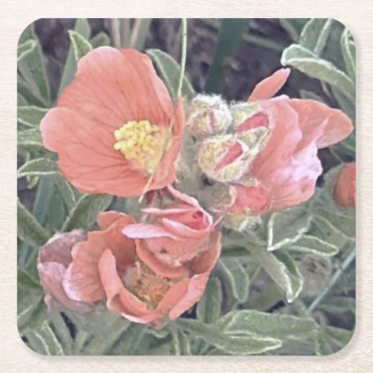 Bloem Onderzetters (Voorkant)