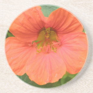 Bloem Onderzetters van Oost-Indische Kers Oranje