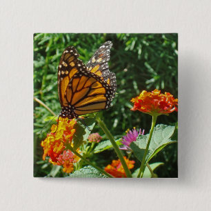 Bloem Oranje monboogvlinder Foto-Natuur Vierkante Button 5,1 Cm