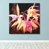 Bloem - Orchidee - Laelia - Middernacht Passie Canvas Afdruk (Insitu (Houten vloer))