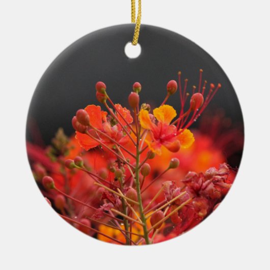 Bloem Ornament (Voorkant)