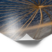 Bloem, paardebloem, foto afdruk (Hoek)