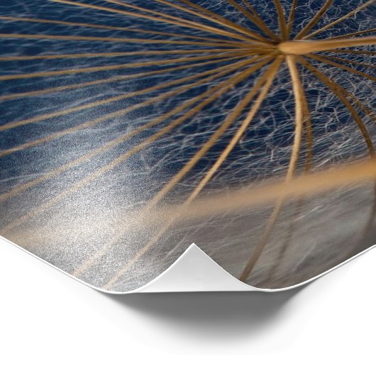 Bloem, paardebloem, foto afdruk (Hoek)