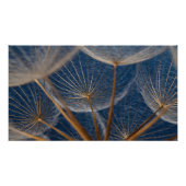 Bloem, paardebloem, foto afdruk (Voorkant)