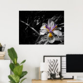 Bloem - Paars geel wit Poster (Thuiskantoor)