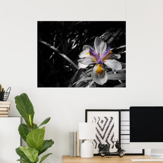 Bloem - Paars geel wit Poster (Thuiskantoor)