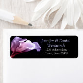 Bloem Paarse Calla Lilies Klassiek Stijlvol Etiket (Insitu)