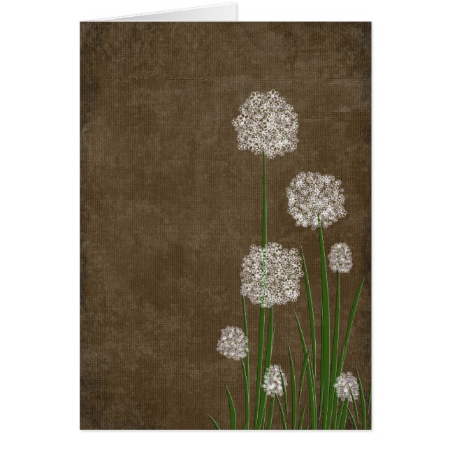 Bloem Pluis (Voorkant)