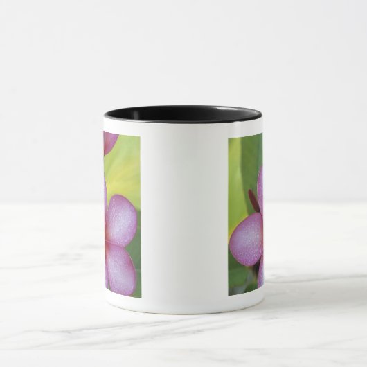 Bloem, Plumeria sp.), South Pacific, Niue Mok (Midden)