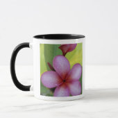 Bloem, Plumeria sp.), Zuid-Pacific, Niue Mok (Links)