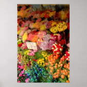 Bloem Poster (Voorkant)
