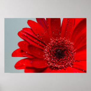 bloem poster