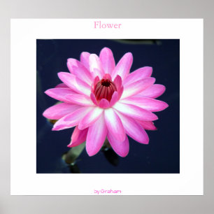 Bloem Poster