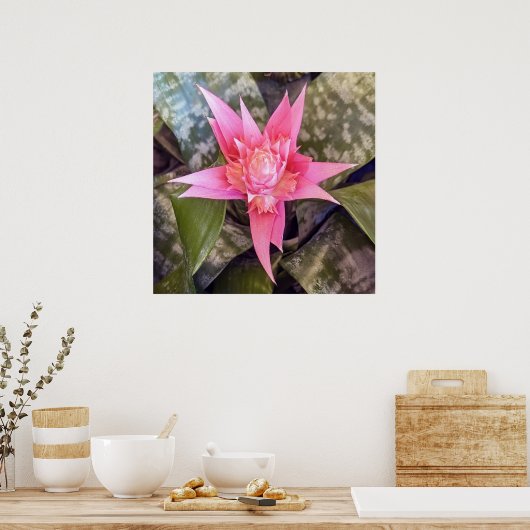 Bloem Poster (Keuken)