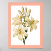 Bloem poster 1 (Voorkant)