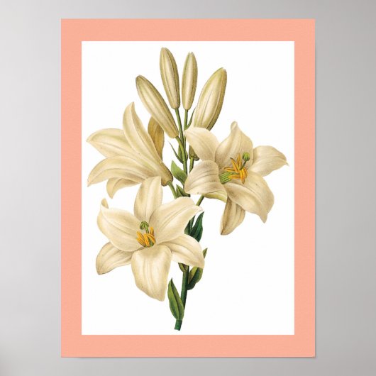 Bloem poster 1 (Voorkant)
