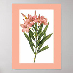 Bloem poster 3