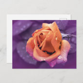 Bloem & regendruppels, Paarse & Oranje Duotone Briefkaart (Voorkant / Achterkant)